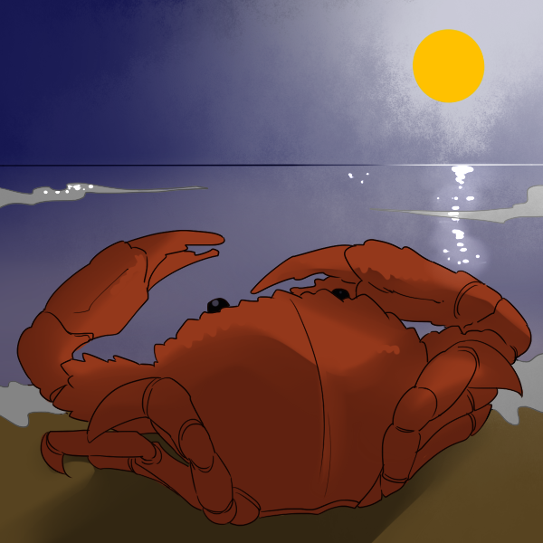 月夜のカニ