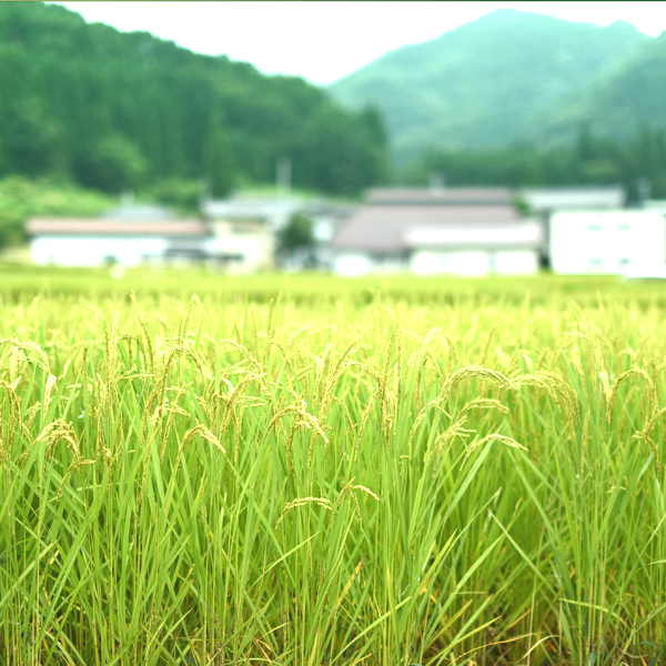 田舎暮らし/結婚生活/住環境