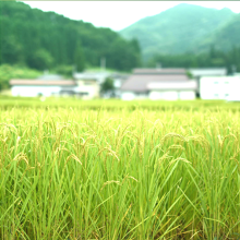 田舎暮らし/結婚生活/住環境